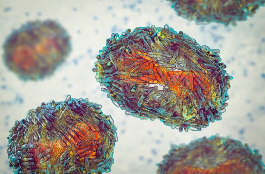 سازمان بهداشت جهانی نام بیماری «آبله میمون» را به mpox تغییر داد