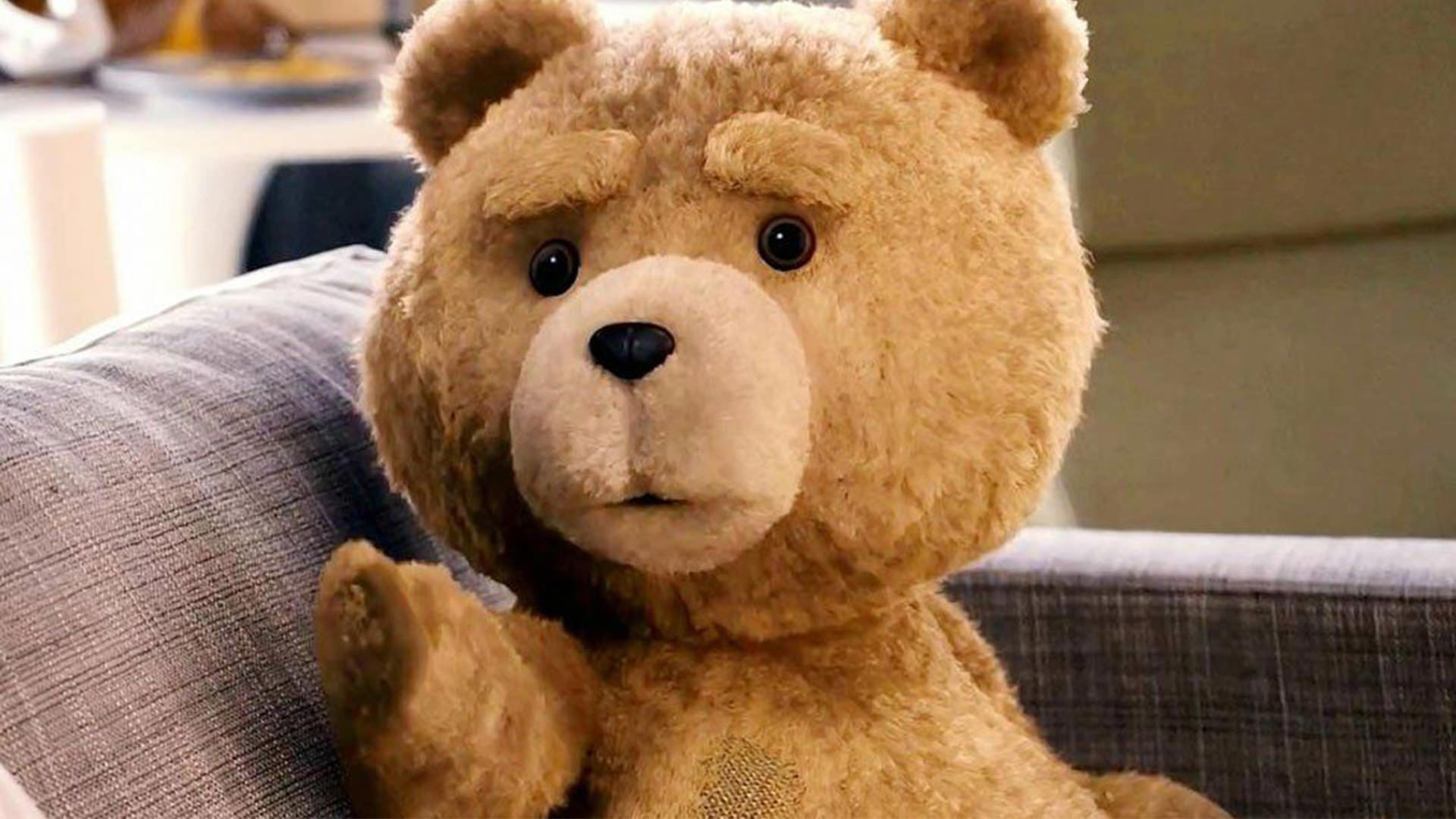 پایان مراحل فیلم‌برداری سریال پیش‌درآمد Ted