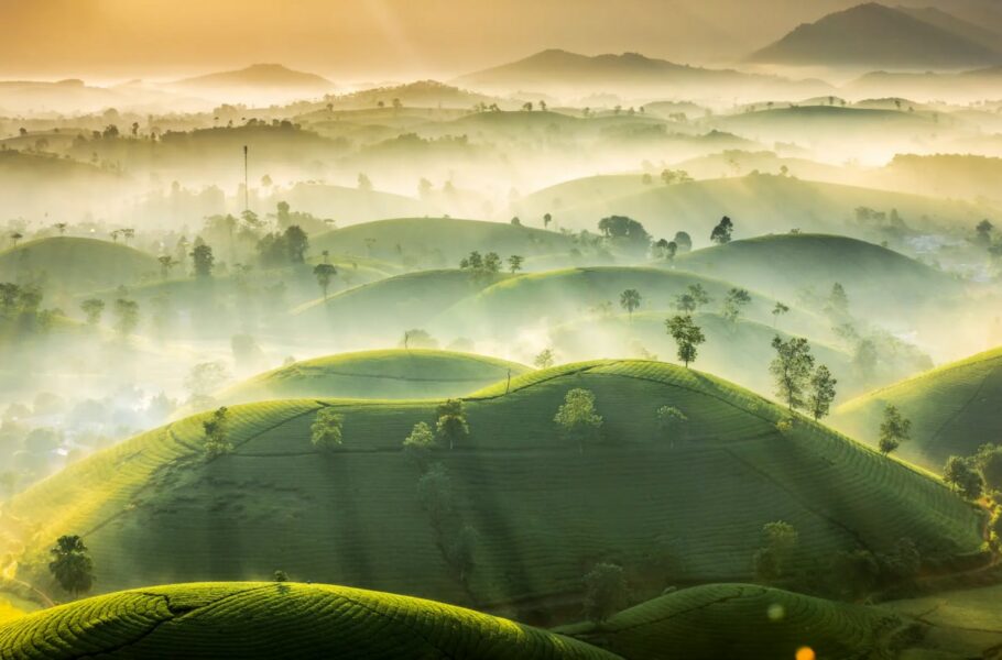 از کاوش در دنیای زیر آب تا فوران آتشفشان؛ برندگان مسابقه عکاسی از مناظر 2022 اعلام شدند