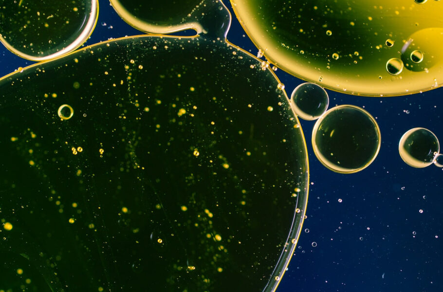 اولین Virovore توسط دانشمندان کشف شد: میکروبی که ویروس می‌خورد