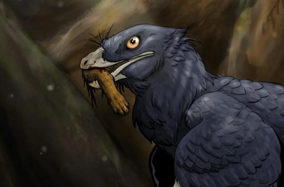 برای اولین بار در تاریخ، دانشمندان مدعی کشف شواهدی از خورده‌شدن پستانداران توسط دایناسورها شدند