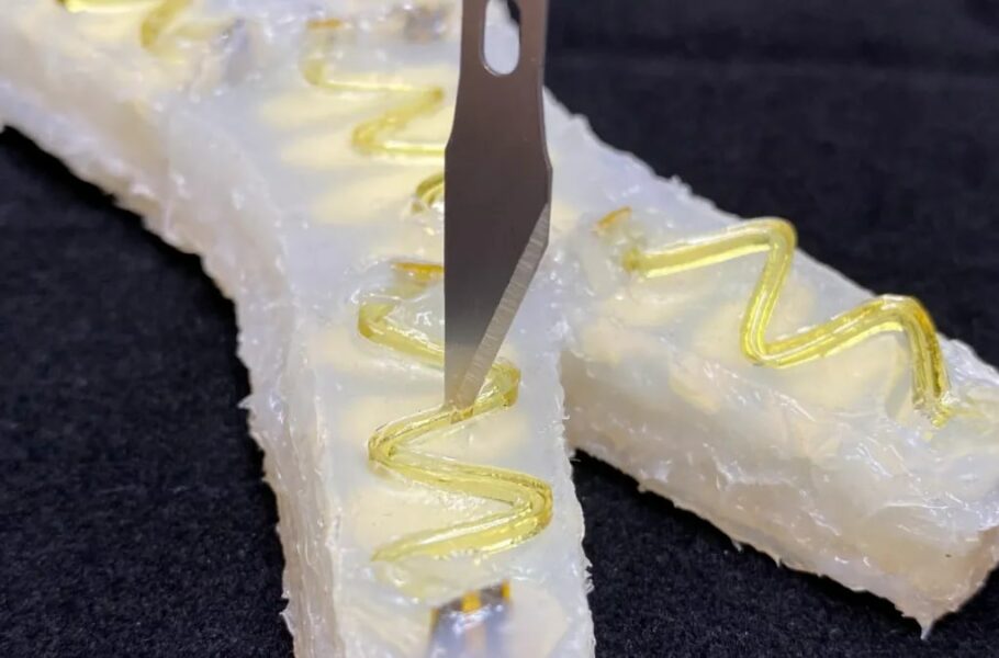 توسعه رباتی که می‌تواند خودش را در عرض یک دقیقه ترمیم کند [تماشا کنید]