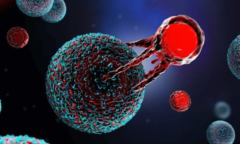 دانشمندان با تغییر محیط فعالیت سلول‌های T، به جنگ سرطان می‌روند