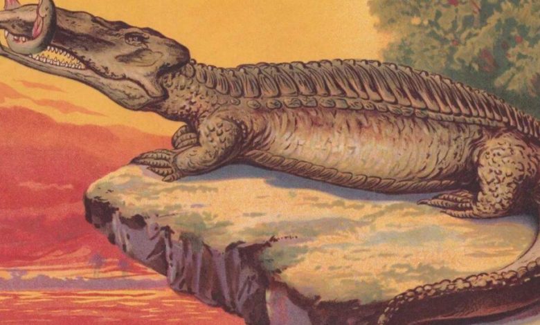 دانشمندان یک تمساح غول‌پیکر ماقبل تاریخ در برزیل کشف کردند