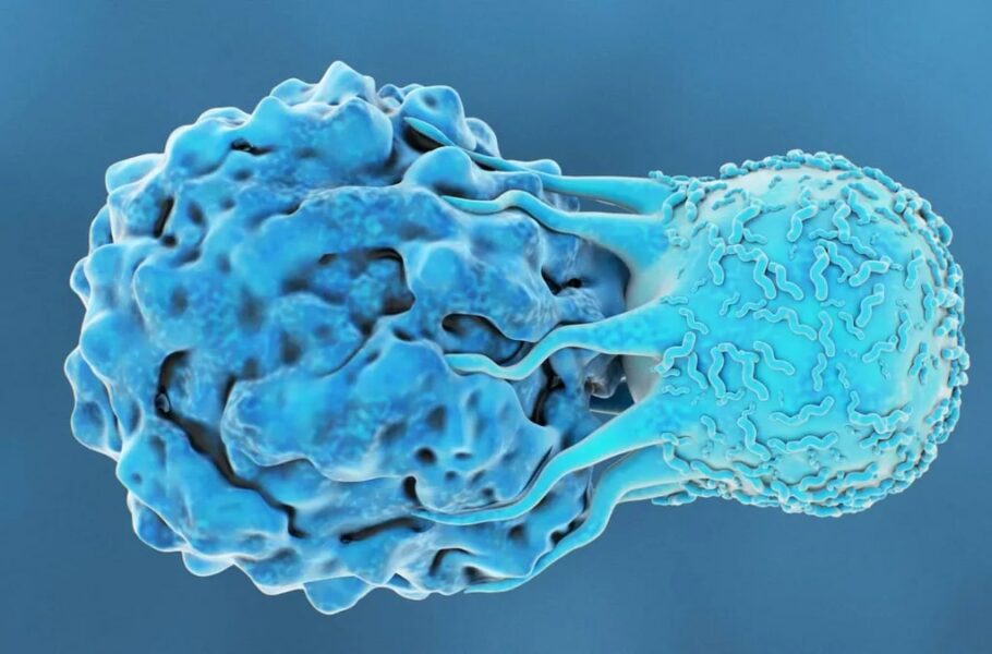 دستاورد جدید دانشمندان: توسعه درمانی برای سرطان مغز استخوان با عملکرد موفق روی 73 درصد بیماران