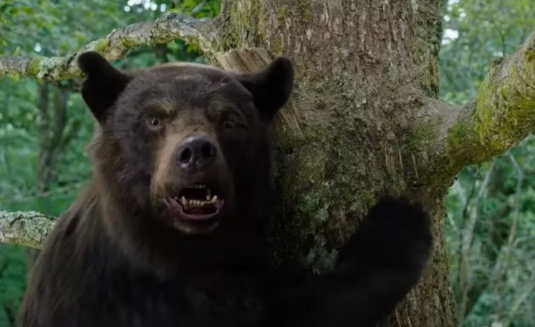 شاهد تصاویر فیلم‌ دلهره‌آور Cocaine Bear باشید