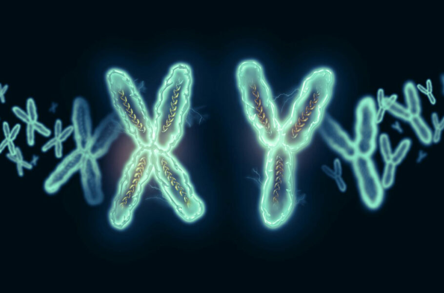 محققان برای اولین‌بار از یک نفر سلول بنیادی زن و مرد تولید کردند