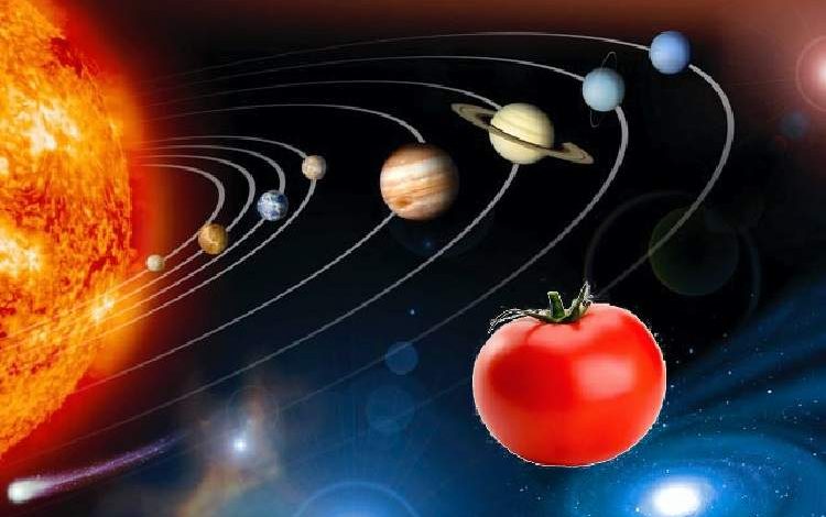 ناسا در فضا گوجه فرنگی می کارد