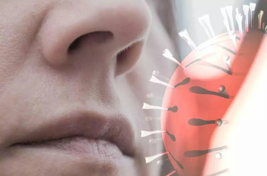 پژوهشی جدید رابطه میان عفونت‌های ویروسی بینی و پیشرفت آلزایمر را تأیید می‌کند