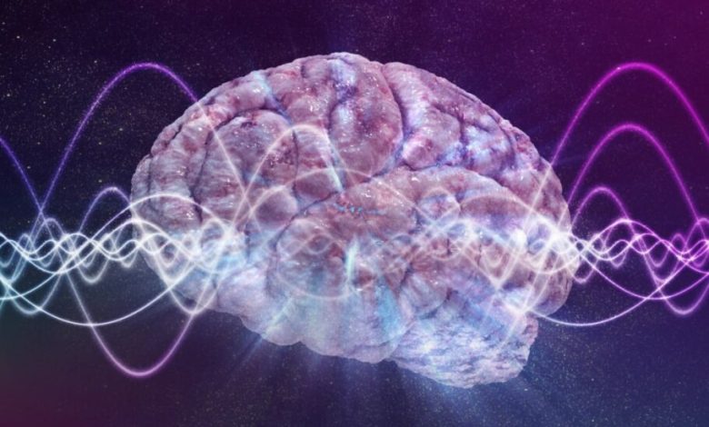 پژوهشی جدید: مغزهای دارای سطوح بالاتر ویتامین D، عملکرد بهتری دارند
