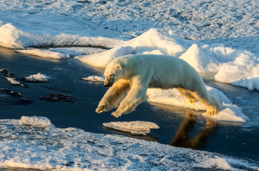 تیم دانشمندان بین‌المللی: اقیانوس‌ها با ثبت گرم‌ترین دما در طول تاریخ، رکورد جدیدی ثبت کردند