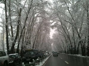 جاهای تفریحی تهران در زمستان
