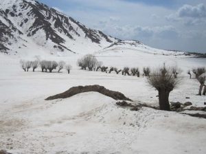 جاهای تفریحی تهران در زمستان