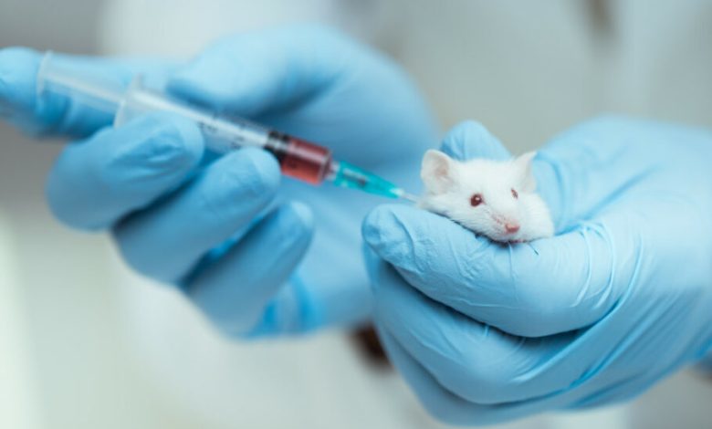 فرآیند تأیید دارو FDA تغییر می‌‌‌کند: الزام انجام آزمایش‌ حیوانی برای برخی داروها حذف می‌شود