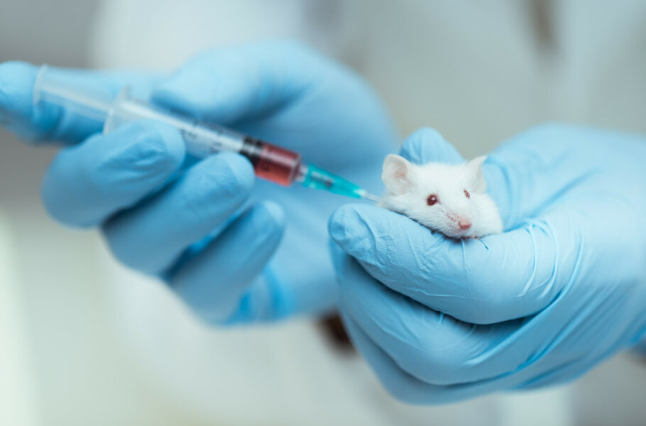 فرآیند تأیید دارو FDA تغییر می‌‌‌کند: الزام انجام آزمایش‌ حیوانی برای برخی داروها حذف می‌شود