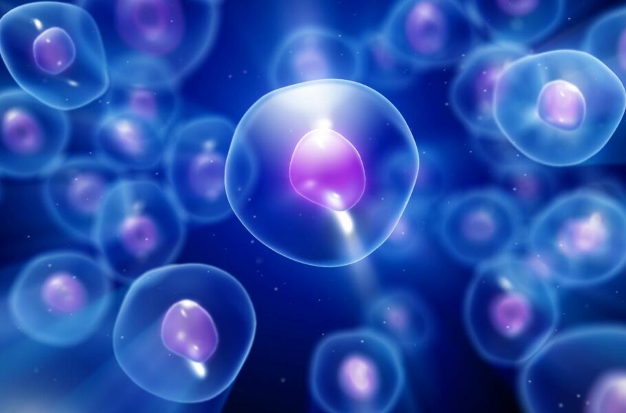 فرایند پیری سلول‌های ما چگونه است؟