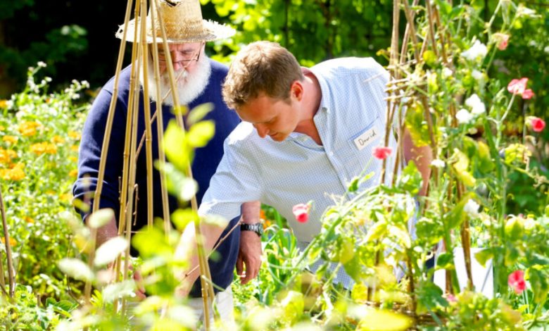 مطالعه‌ جدید: باغبانی می‌تواند به کاهش خطر ابتلا به سرطان و افزایش سلامت روان کمک کند