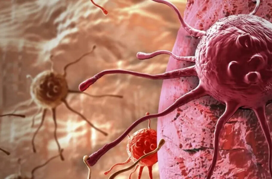 نتیجه یک مطالعه جدید: آنزیم خاصی که می‌تواند در درمان سرطان نقش داشته باشد