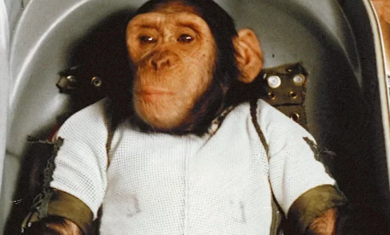 امروز در فضا: شامپانزه‌ای به‌نام هام به فضا پرتاب شد