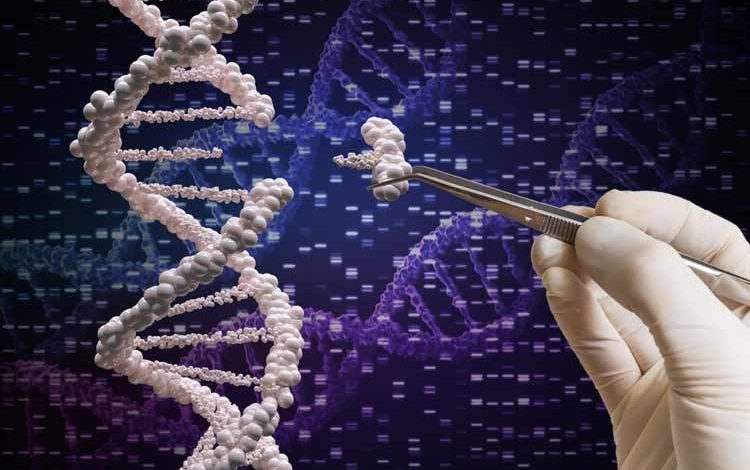 خاموش کردن ژن‌ها قبل از تولد؛ راهی برای جلوگیری از سرطان