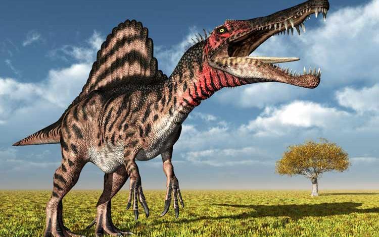 دانشمندان مغز بزرگ‌ترین دایناسور گوشت‌خوار را بازسازی کردند