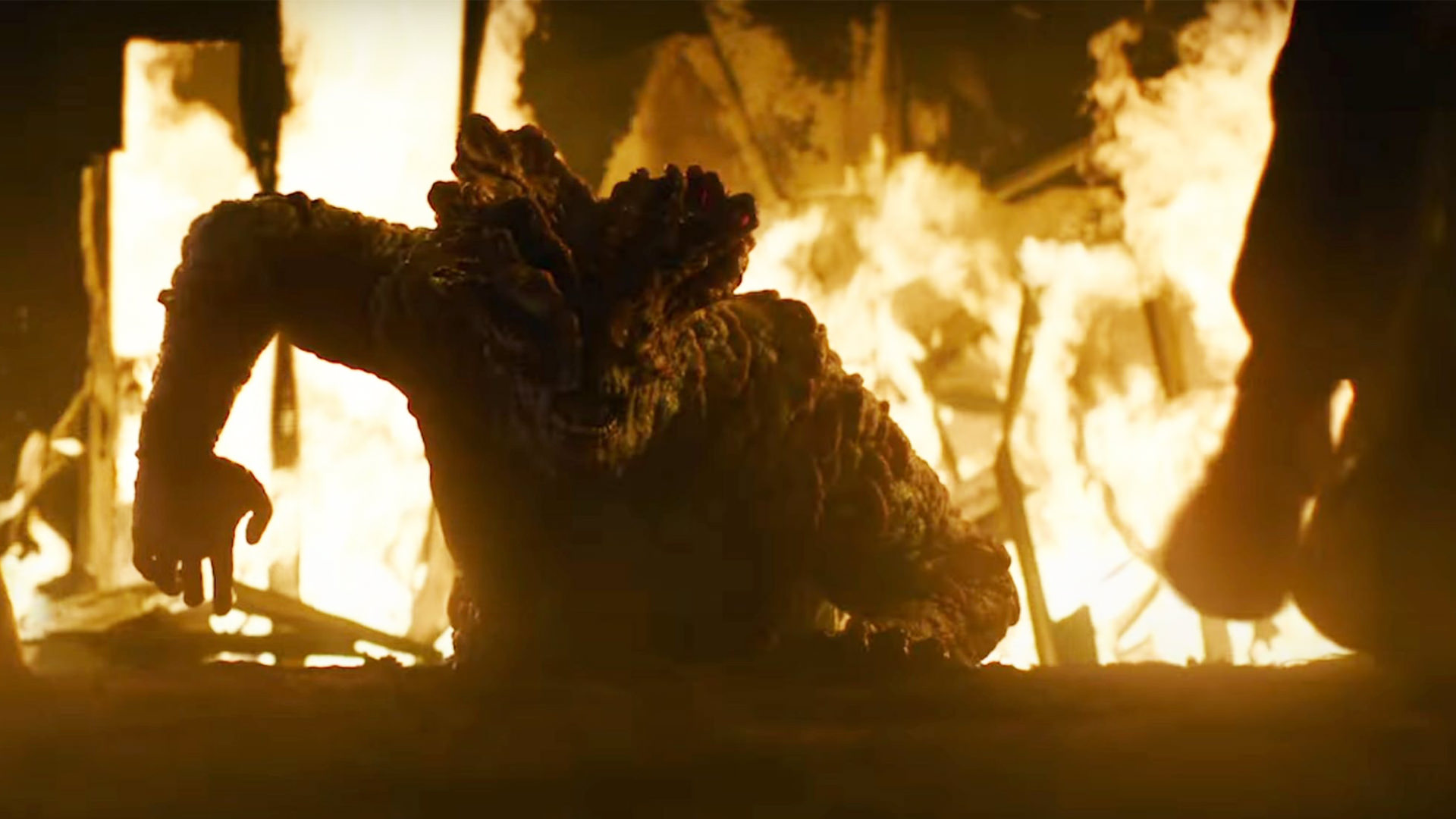 ممنوع بودن گفتن کلمه زامبی توسط عوامل ساخت سریال The Last of Us