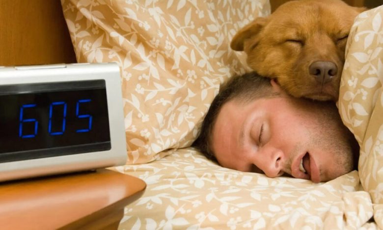 پژوهشی جدید: انسان‌ها احتمالاً در زمستان به خواب بیشتری نیاز دارند