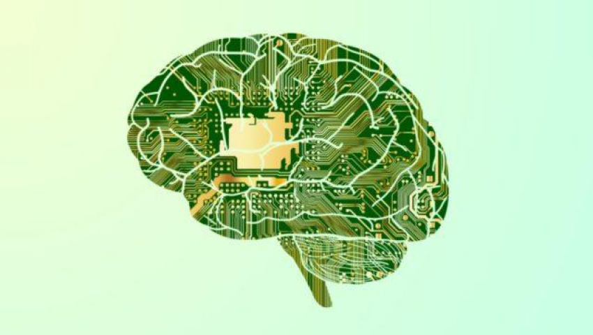 آیا مغز انسان مانند یک کامپیوتر کوانتومی کار می‌کند؟