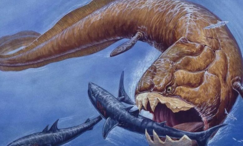 دانشمندان جزئیات جدیدی را درباره یک موجود دریایی مرگبار باستانی کشف کردند