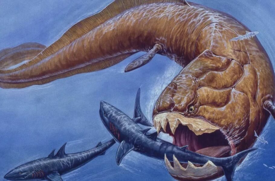 دانشمندان جزئیات جدیدی را درباره یک موجود دریایی مرگبار باستانی کشف کردند