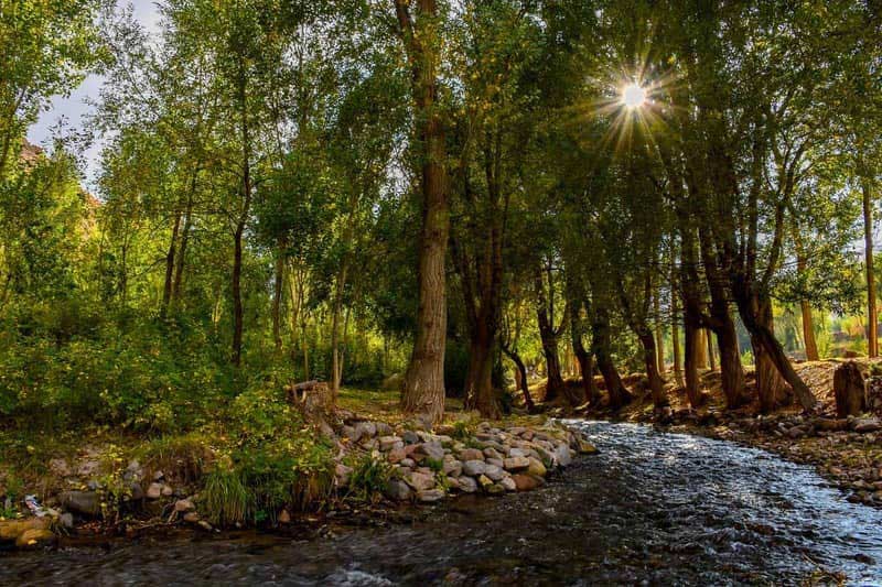 رودخانه لیقوان در جوار روستای لیقوان میان درختان سرسبز