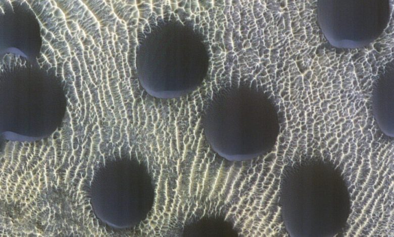 ناسا تصویر متفاوت و عجیبی را از تپه‌های شنی دایره‌ای‌شکل مریخ منتشر کرد