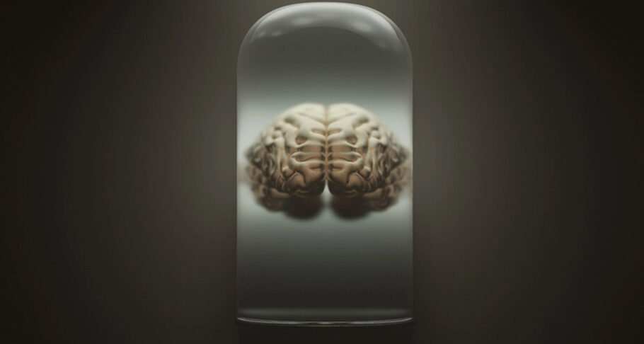 کلکسیونی عجیب: این دانشگاه در دانمارک بزرگ‌ترین مجموعه مغز واقعی انسان را جمع‌آوری کرده است