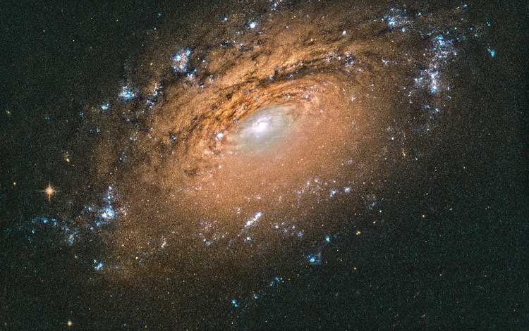 کهکشان NGC 3169