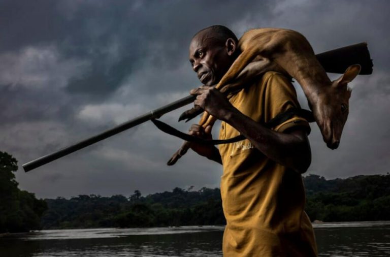 از زنان کنگو تا زوزه گرگ؛ برندگان مسابقه عکاسی سال 2023 سونی اعلام شدند