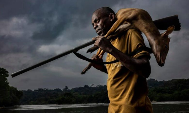 از زنان کنگو تا زوزه گرگ؛ برندگان مسابقه عکاسی سال 2023 سونی اعلام شدند