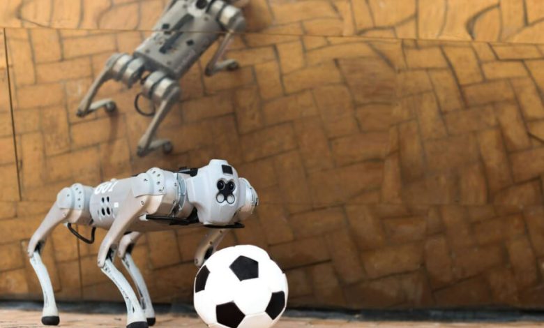این سگ رباتیک می‌تواند روی چمن، شن و برف فوتبال بازی کند [تماشا کنید]