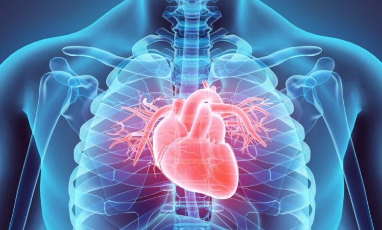محققان ایمپلنت جدیدی توسعه داده‌اند که می‌تواند با کمک نور مشکلات قلب را بررسی کند
