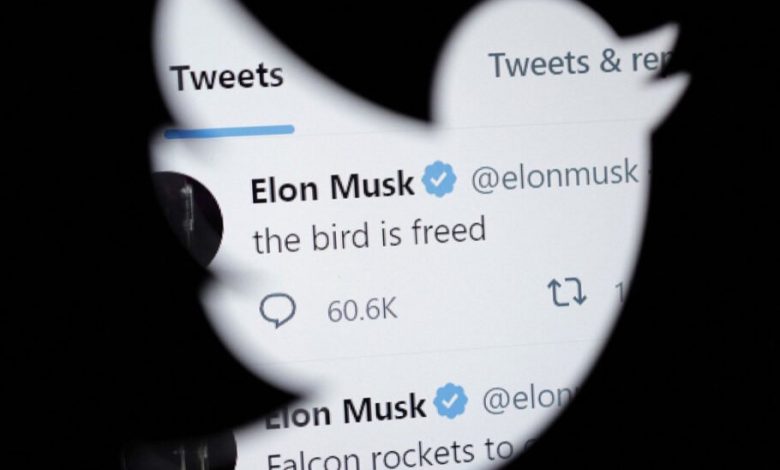 نگاهی به شش ماه مدیریت ایلان ماسک در توییتر؛ آیا پرنده واقعاً آزاد شده است؟