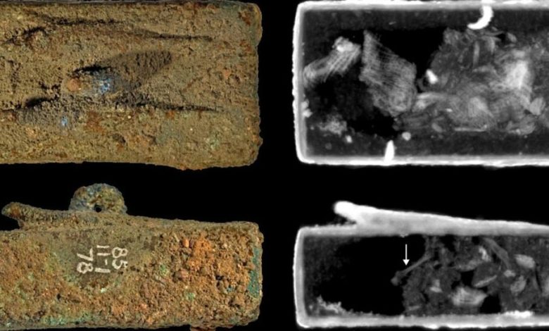 پژوهشگران محتویات مرموز 6 تابوت مهروموم‌شده 2500 ساله مصری را برملا کردند
