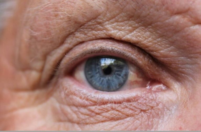 امیدی تازه برای درمان نابینایی: دانشمندان با فناوری نانو موفق به پرورش سلولهای چشم شدند