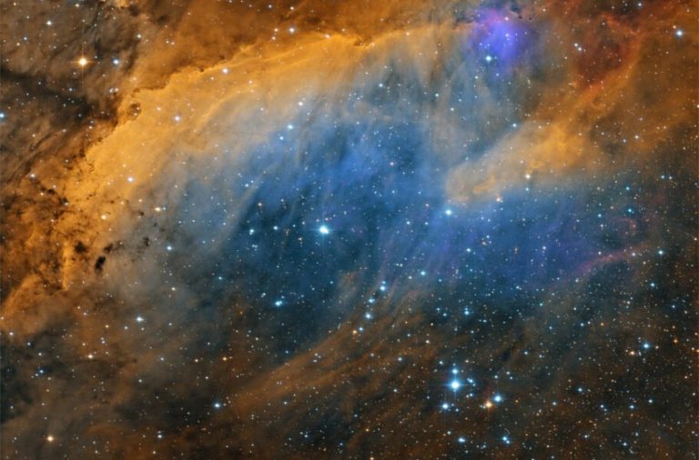 تصویر روز ناسا: IC 4628 و یا سحابی میگو