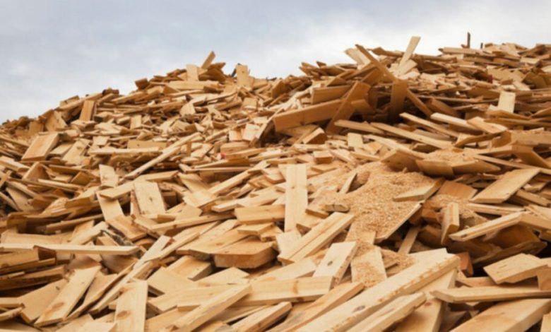 دارپا روی توسعه چوب مستحکم‌تر و چندبار مصرف کار می‌کند