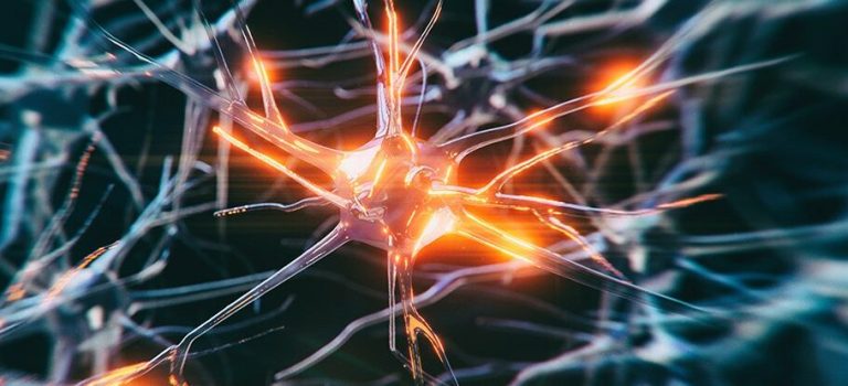 دانشمندان جوان‌ترین مورد ابتلا به آلزایمر جهان را در چین شناسایی کردند