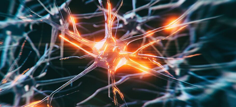 دانشمندان جوان‌ترین مورد ابتلا به آلزایمر جهان را در چین شناسایی کردند