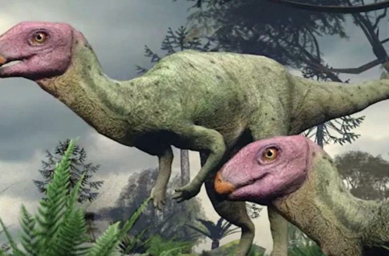 دانشمندان فسیل‌های گونه جدیدی از دایناسورها را در تایلند شناسایی کردند