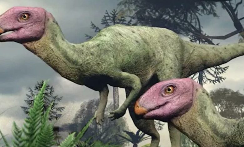 دانشمندان فسیل‌های گونه جدیدی از دایناسورها را در تایلند شناسایی کردند