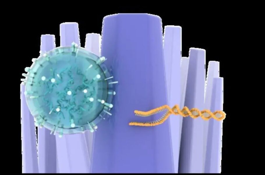 دستاورد محققان ژاپنی: تشخیص سریع تومور مغزی با آزمایش ادرار برای اولین بار