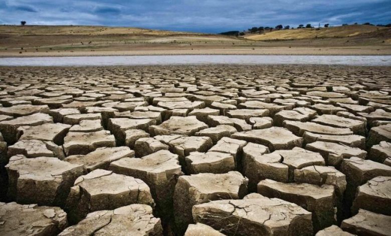 رئیس مرکز ملی اقلیم و مدیریت بحران خشکسالی: اوج گرمای تابستان امسال دو هفته اول مرداد خواهد بود
