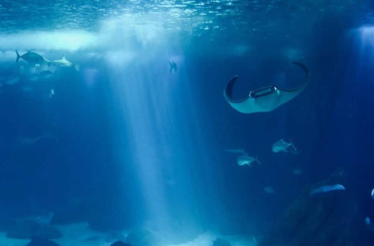 محققان دریایی مربوط به میلیون‌ها سال پیش را به‌عنوان منشأ حفره بزرگ اقیانوس هند معرفی کردند